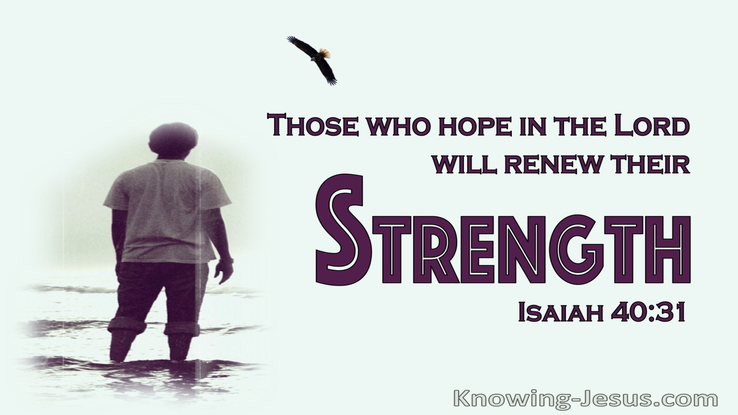 Isaiah 40:31 Those Who Hope On The Lord Shall Renew Strength (maroon)